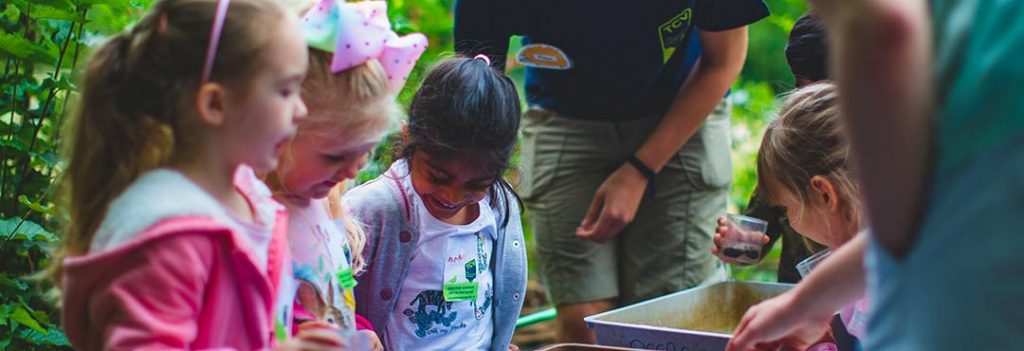 Children enjoying pond-dipping at a TCV event
