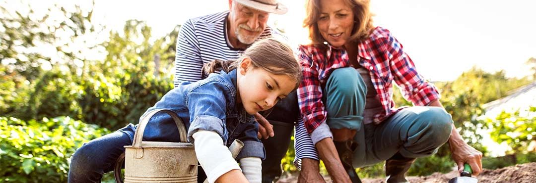 Two older people and a child gardening