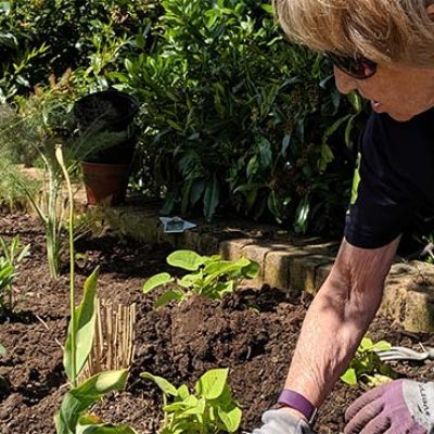 A woman gardening whilst taking part in a Green Gym