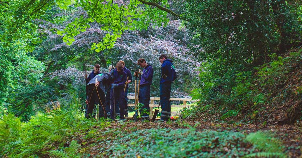 TCV trainees working in a woodland