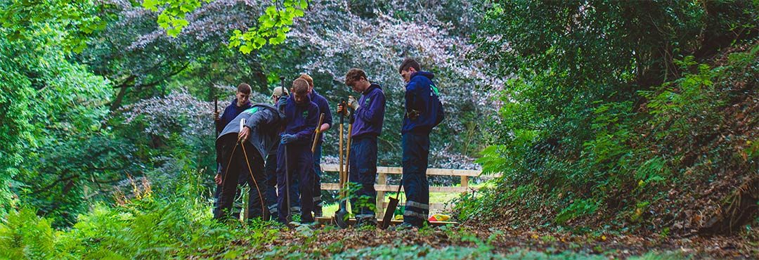 People working in a woodland