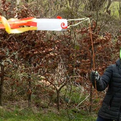 Flying a homemade fish kite