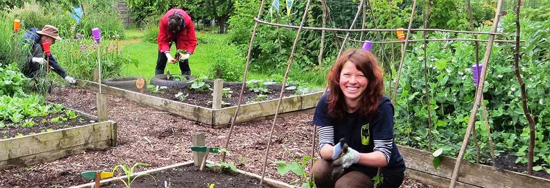 People in a vegetable garden