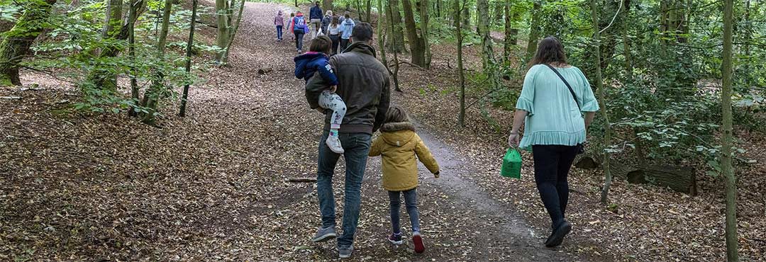 People walking in a woodland