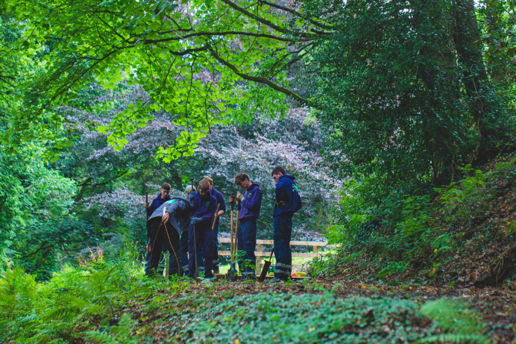 Group of conservation volunteers