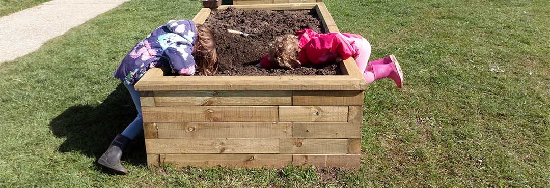 Children helping to grow vegetables