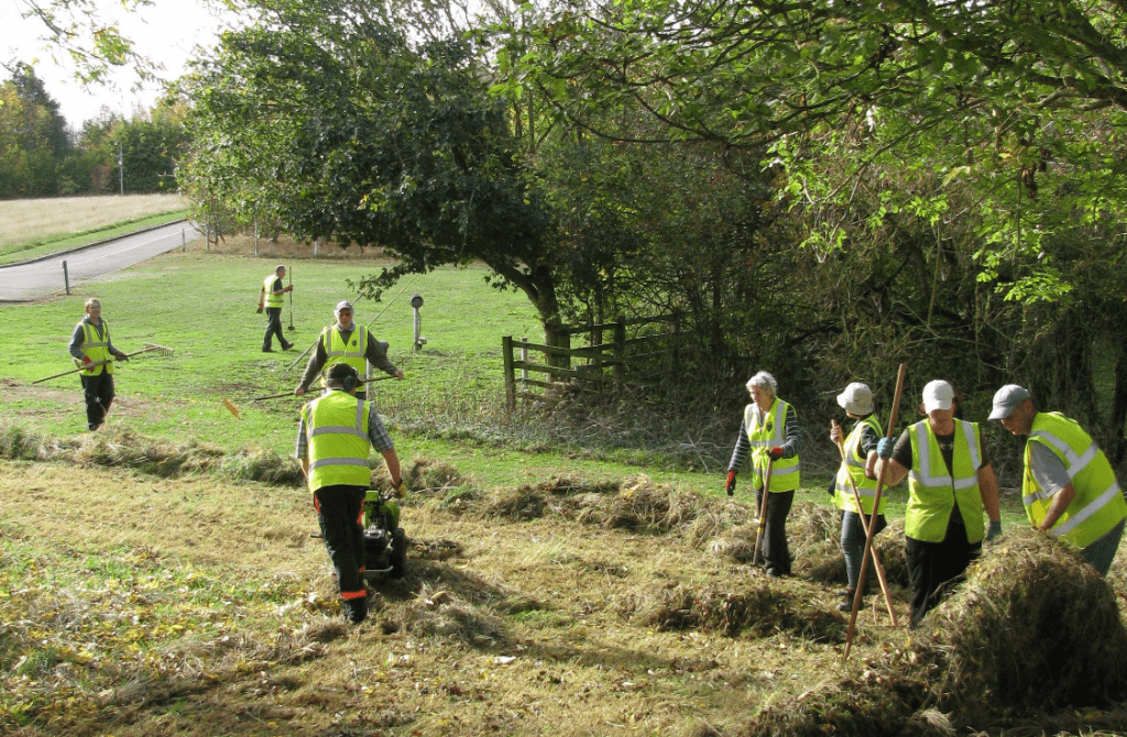 Volunteers cutting a meadow and hay raking in the sunshine