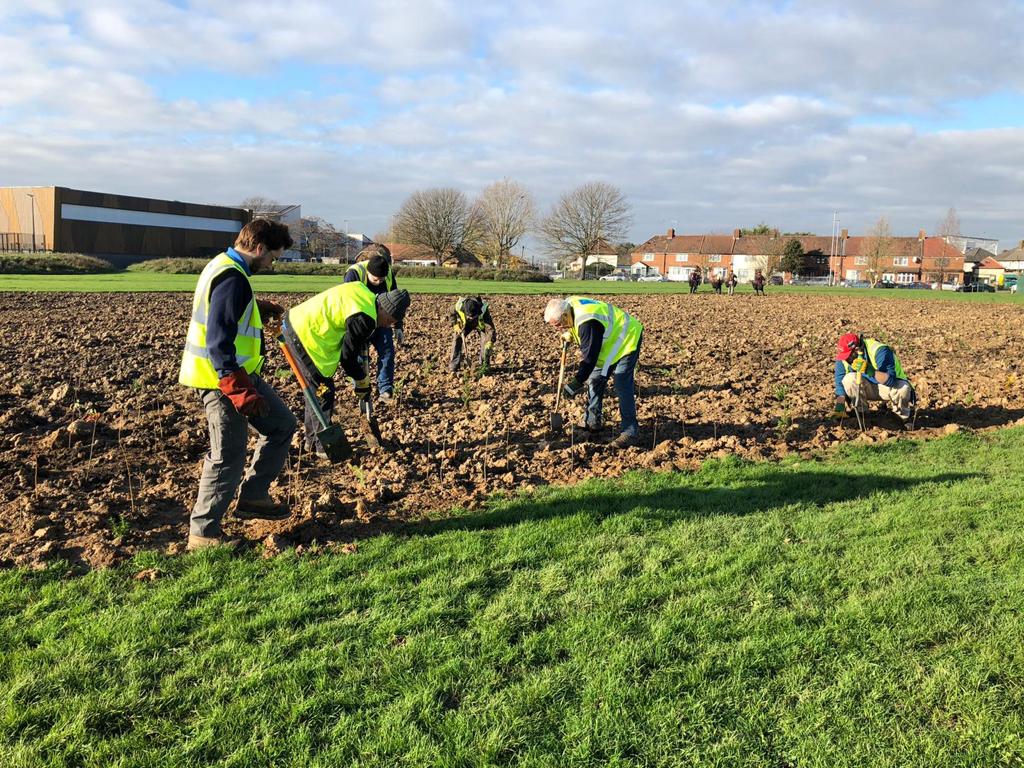 The team planting trees at the Forest of Thanks