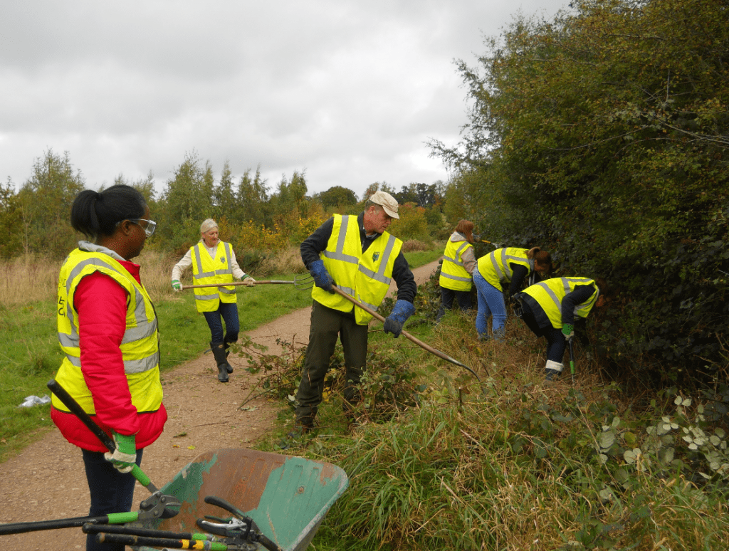 Volunteers clearing out a ditch