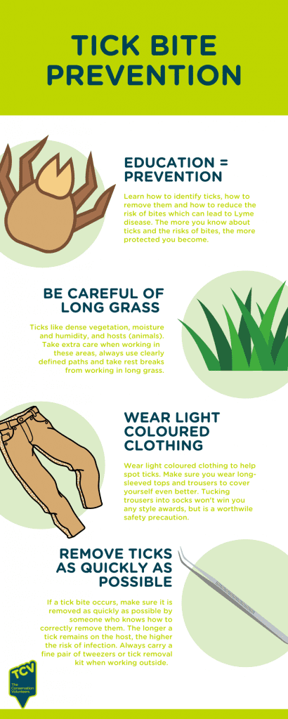 TCV Tick bite prevention infographic