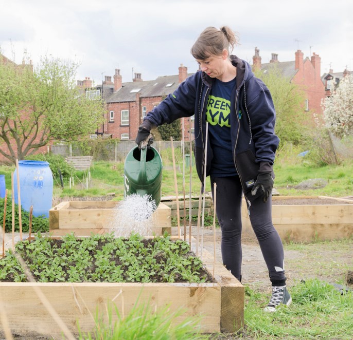 Lady watering some herbs in a raised bed planter