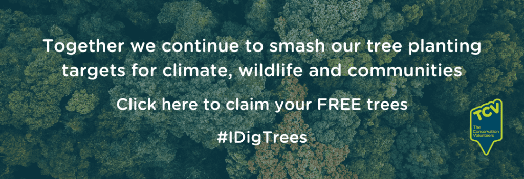 Birdseye view of a deciduous woodland with offer of free trees plus an #IDigTrees hashtag as a text overlay.