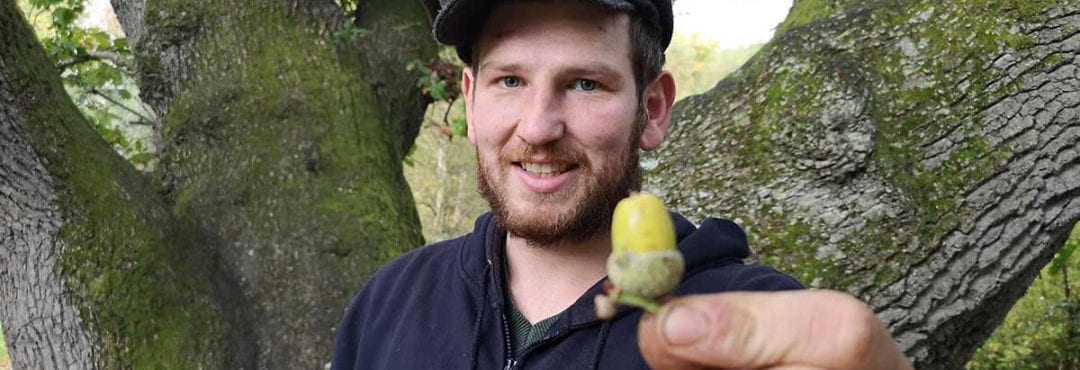 A member of TCV's nursery team with an acorn