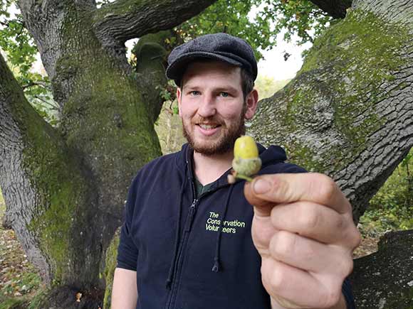 A member of TCV's nursery team with an acorn