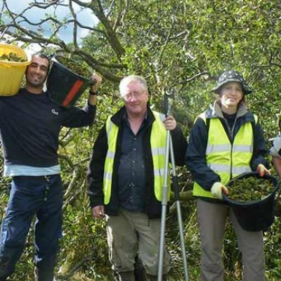 A team from TCV's tree nursery in Northern Ireland