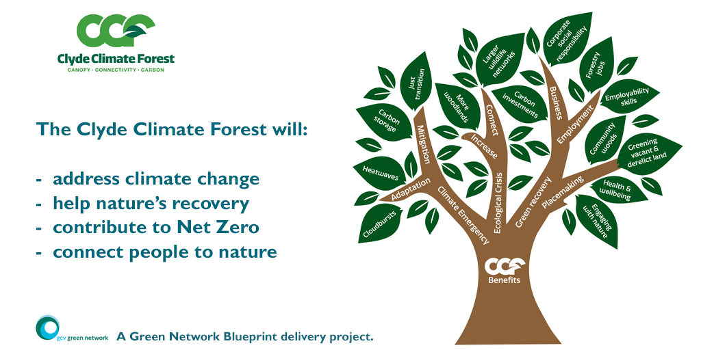 The Clyde Climate Forest will: 
Address Climate change
help nature's recovery
contribute to Net Zero
connect people to nature