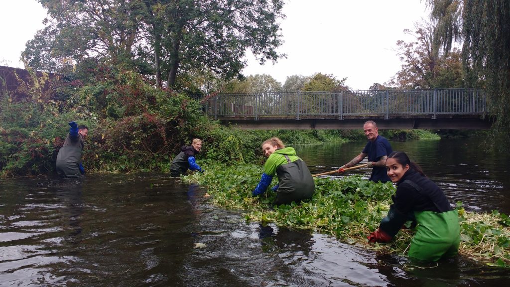 Group doing river conservation