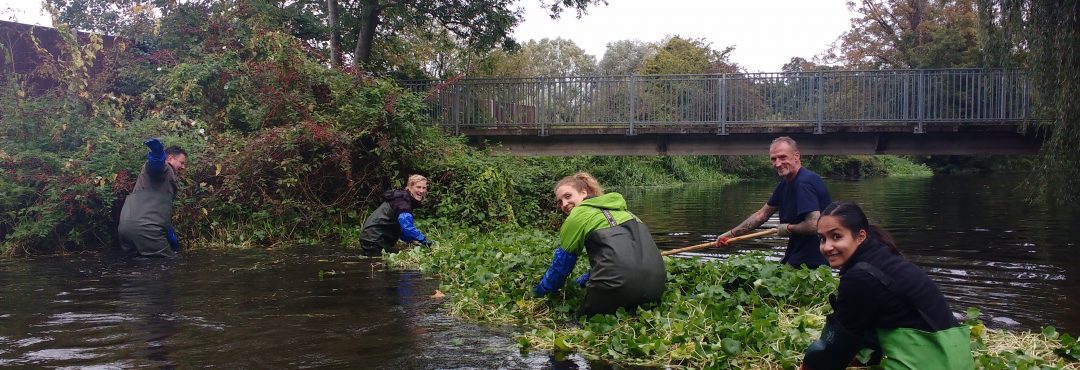 Group doing river conservation