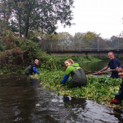 Group doing river conservation