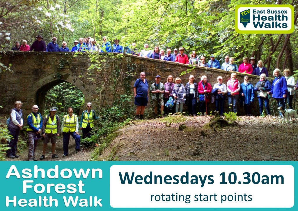 Ashdown Forest health walk