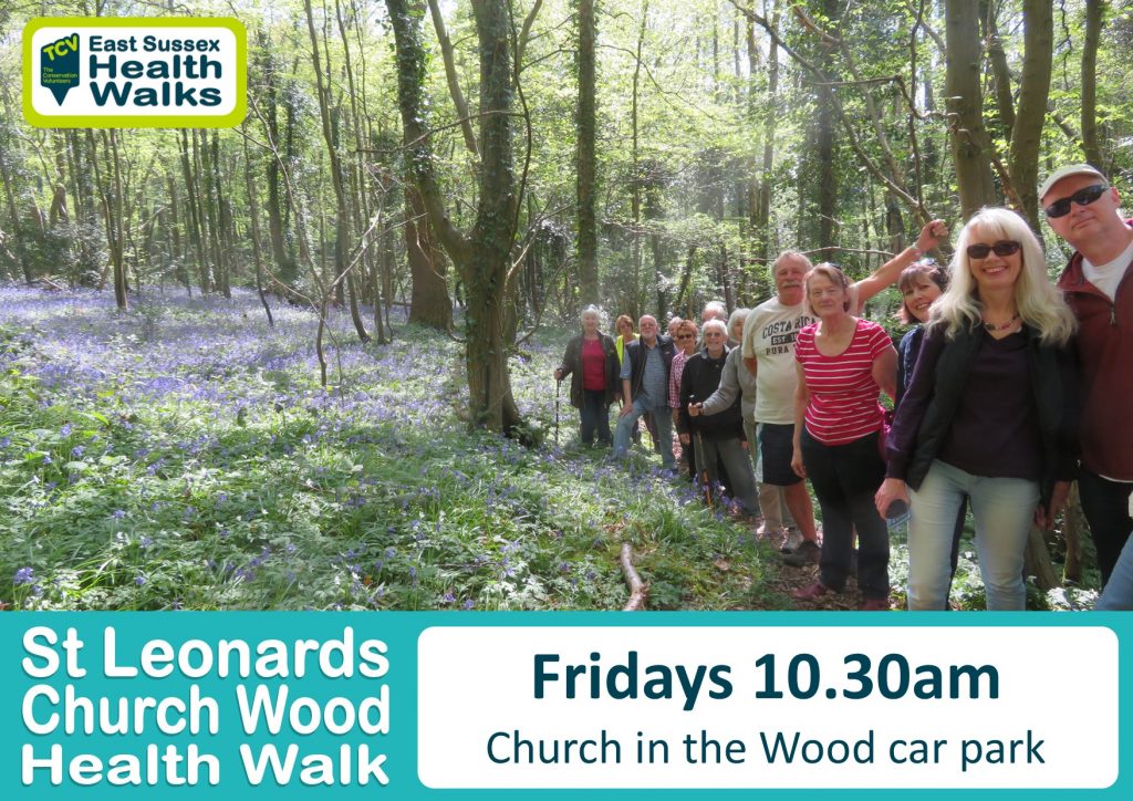 St Leonards Church Wood health walk