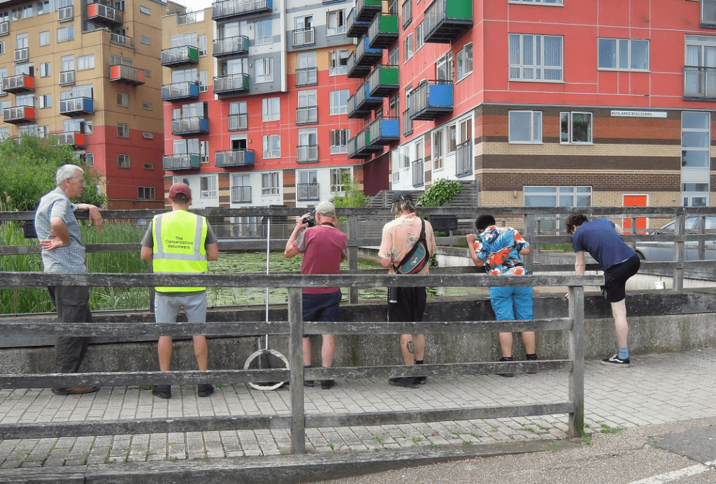 Steve Brooks Dragonfly walk at GPEP June 2021