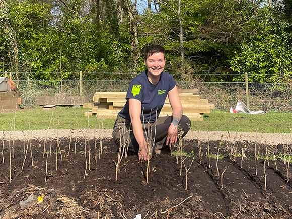 Lining out young trees in a nursery logo