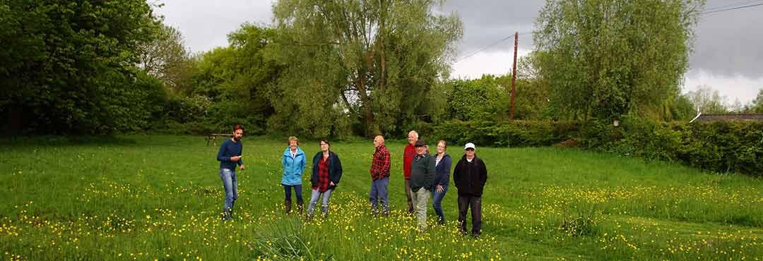 People in a meadow