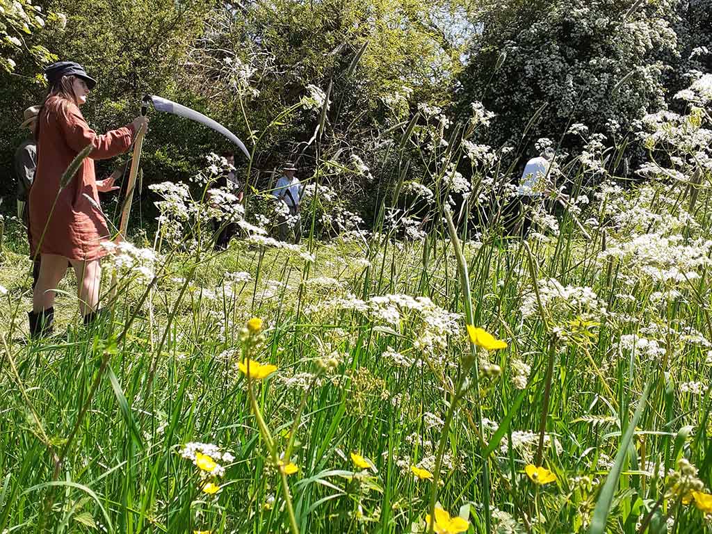 Preparing to scythe a meadow