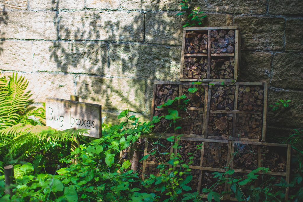 A bug hotel against a wall surrounded by greenery