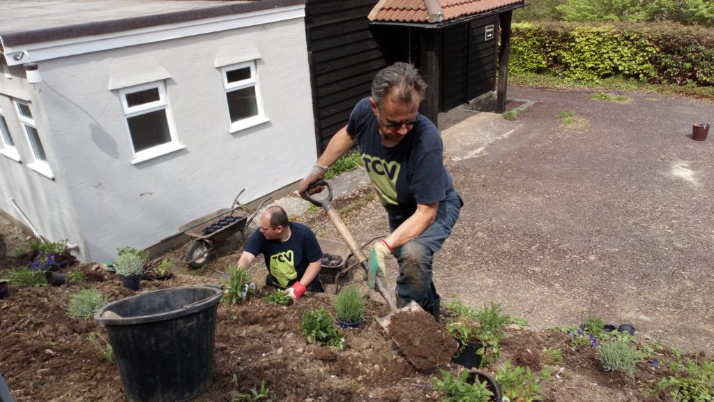 Two TCV volunteers planting on a small hill next to a building and driveway