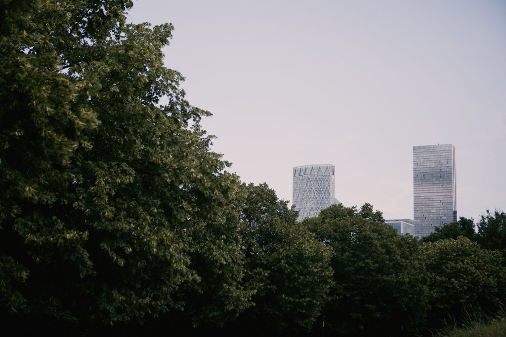A line of large trees with the city of London in the background