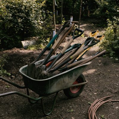 Wheelbarrow with spades in woodland