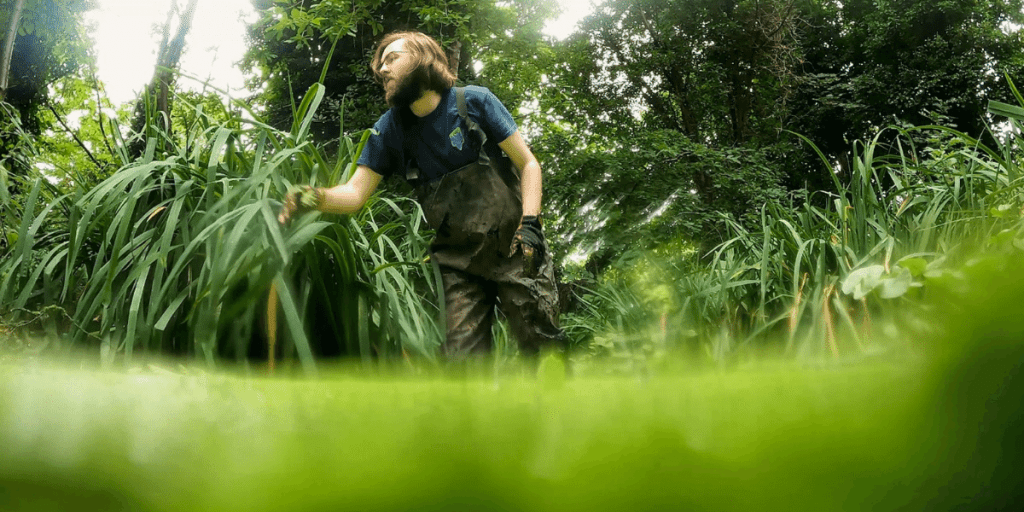 The Conservation Volunteers, North London, England