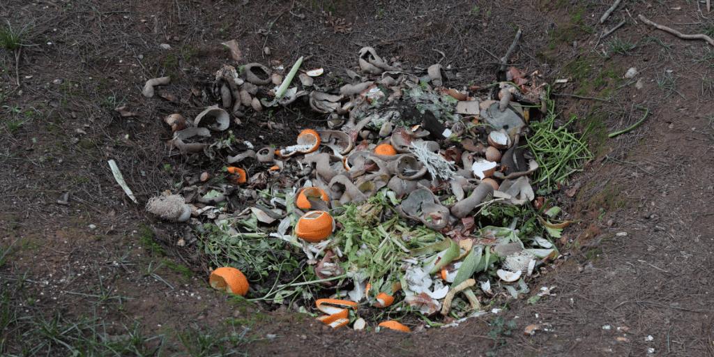 Compostable materials in a trench before being covered up