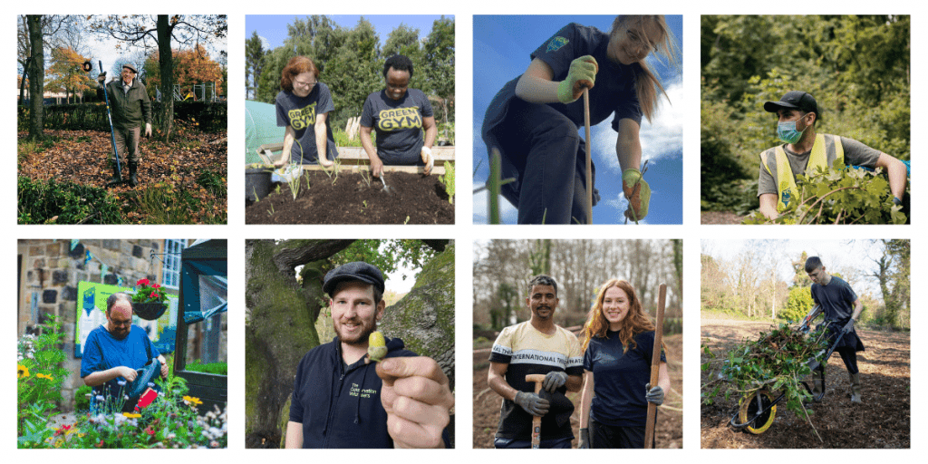 Collage of TCV volunteers doing a variety of conservation tasks