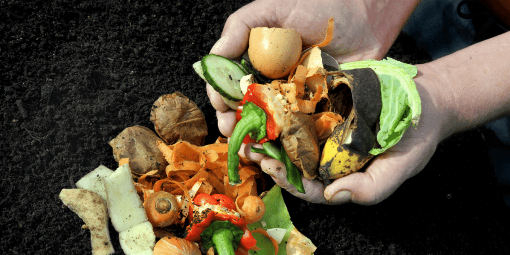 A variety 'green' materials to be mixed with 'brown' materials for composting
