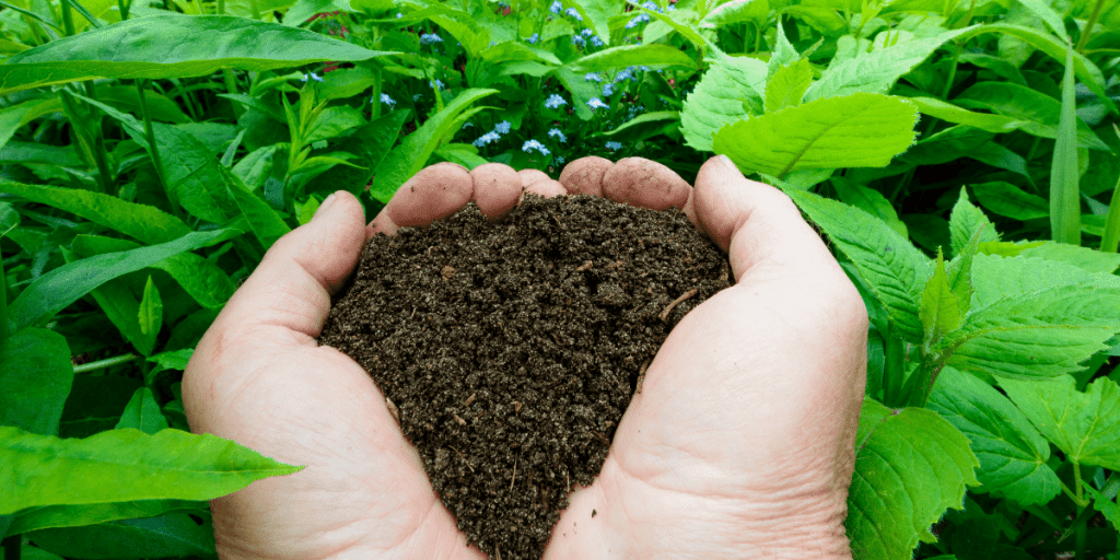 Hands holding compost which is ready for planting.