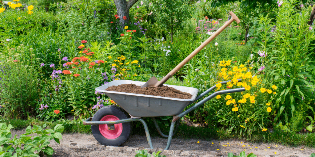 Wheelbarrow full of compost and shovel in beautiful garden
