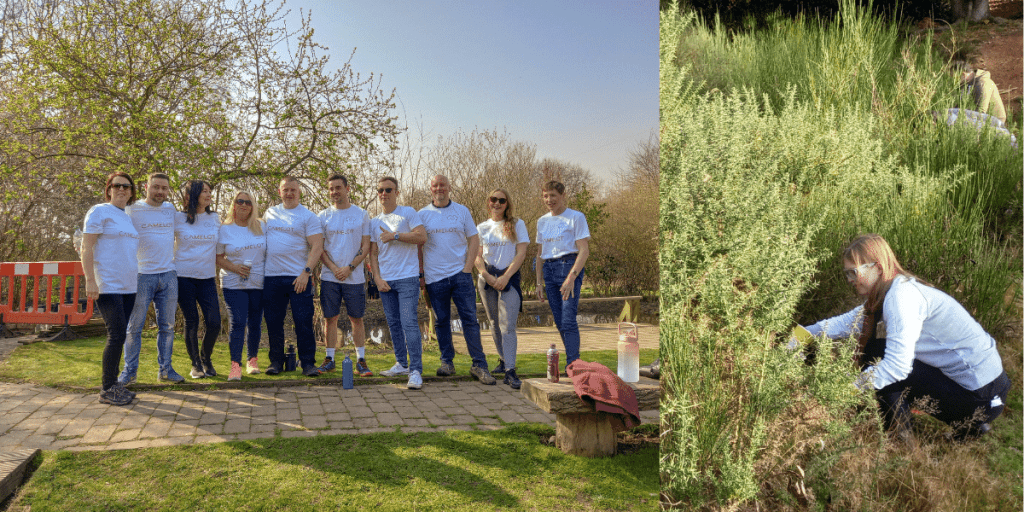 Camelot volunteers taking part in habitat management activities