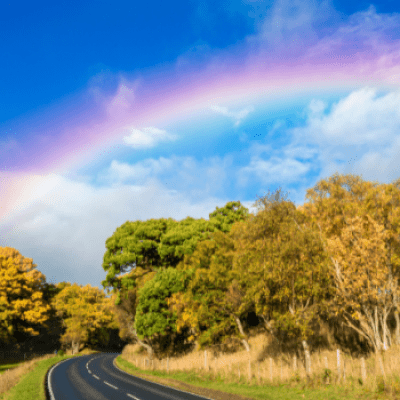 Rainbow over trees