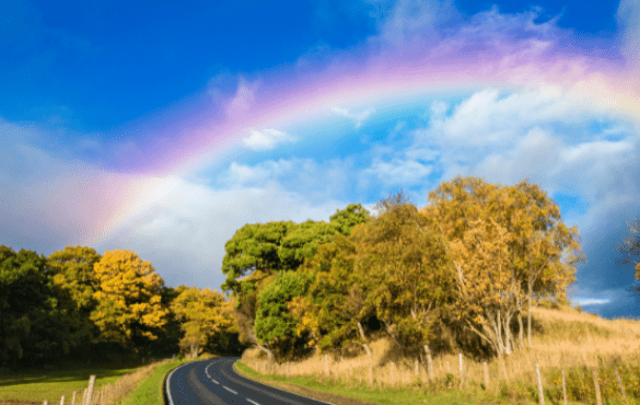 Rainbow over trees