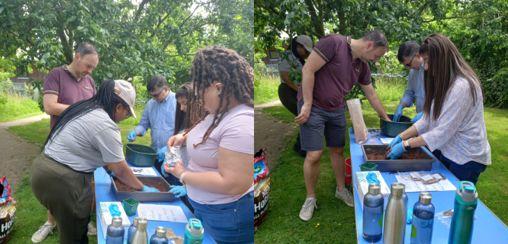 Collage of images of table on a grassed area. People are standing around the table working with item on the table to create seed bombs