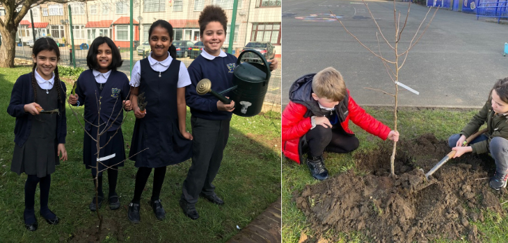 A collage of 2 images. The image on the left shows 4 primary school-aged children stood smiling at the camera, stood behind a newly planted tree. They are each holding a piece of gardening equipment.
The image on the right shows 2 primary school-aged children planting a tree in the ground.