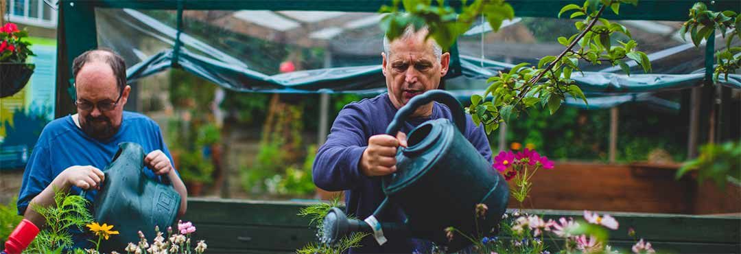 Two people watering plants in a garden