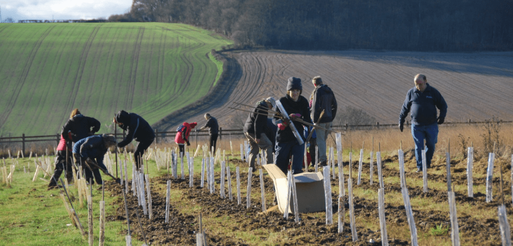 I Dig Trees volunteers tree planting