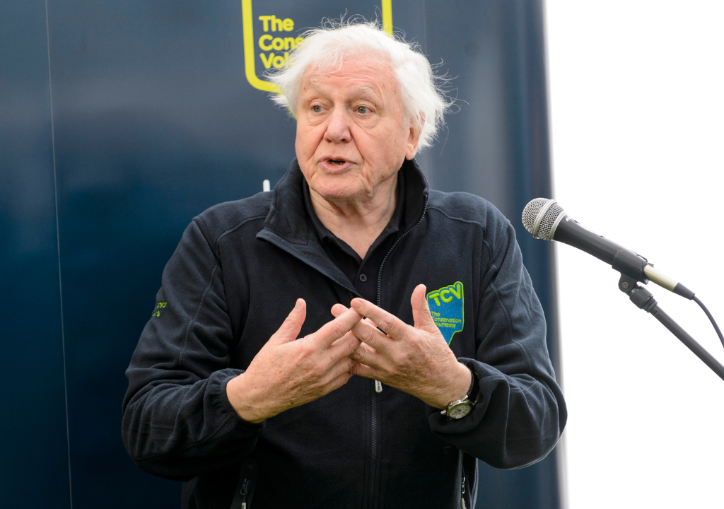 TCV - David Attenbourough-final TCV - David Attenbourough-final