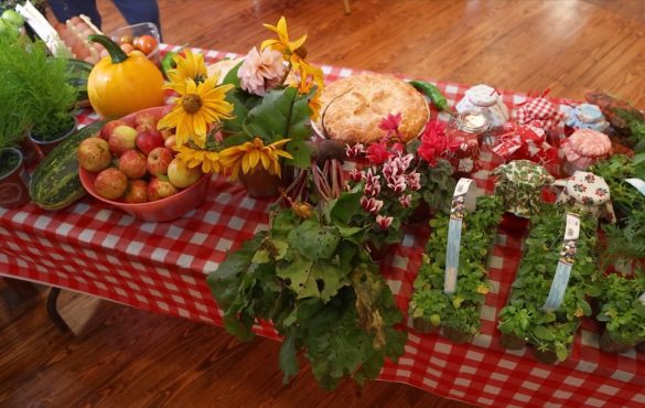 Healthy produce grown by The Conservation Volunteers