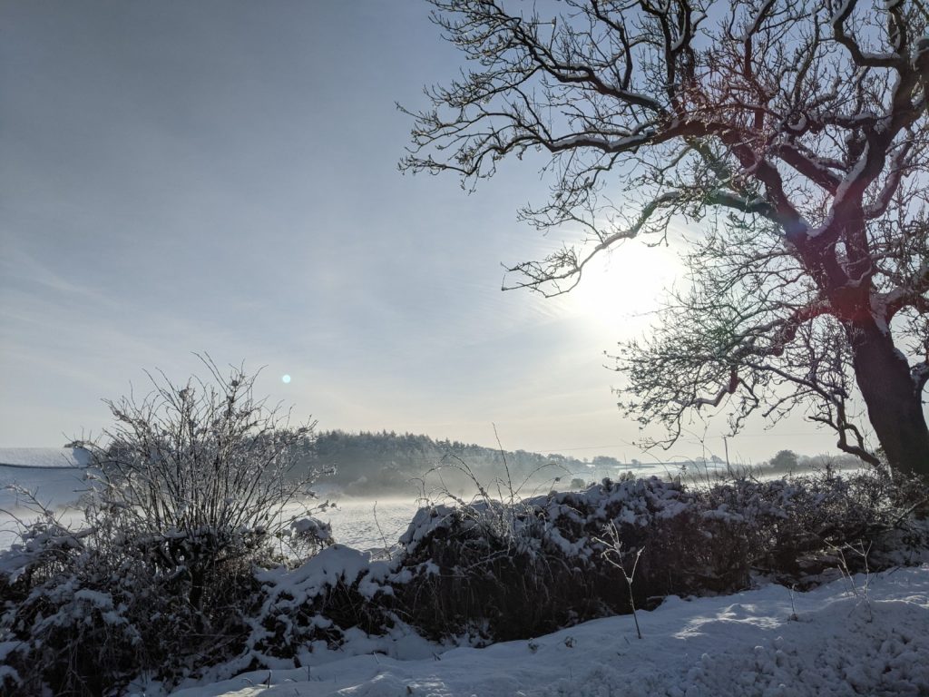 Yorkshire Winter Landscape