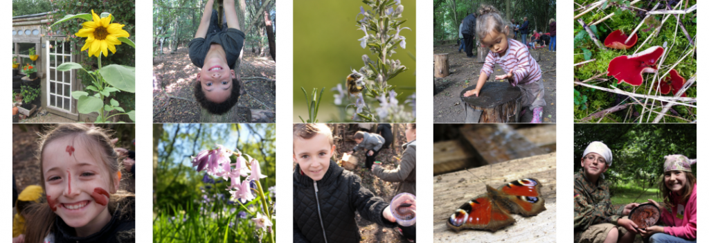 Education and fun activities at TCV Skelton Grange Environment Centre, Leeds